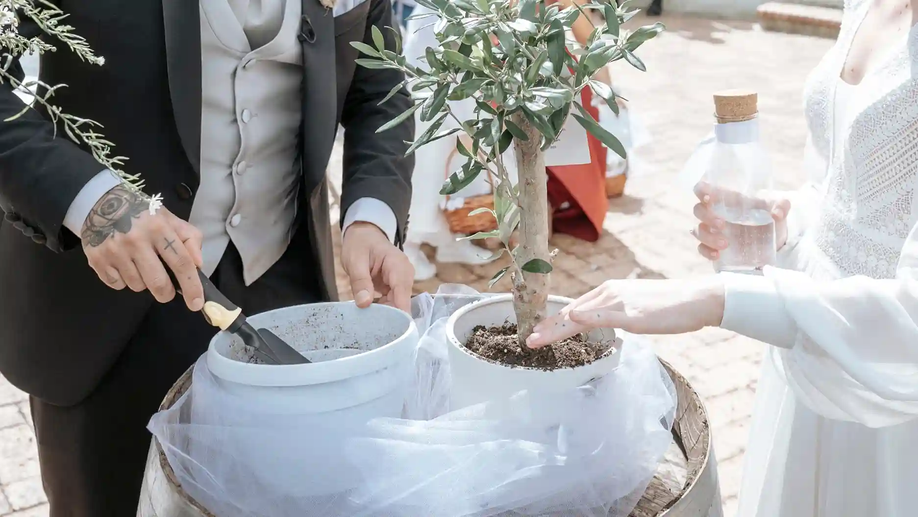 Riti Simbolici nel matrimonio: significati e indicazioni - grafica wedding - rito dell'albero