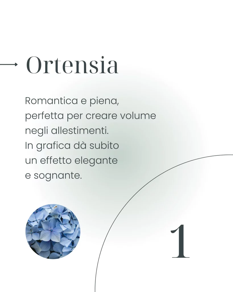 Matrimonio estivo: i migliori fiori per allestimenti e grafica - ortensia - graficaweddding.it