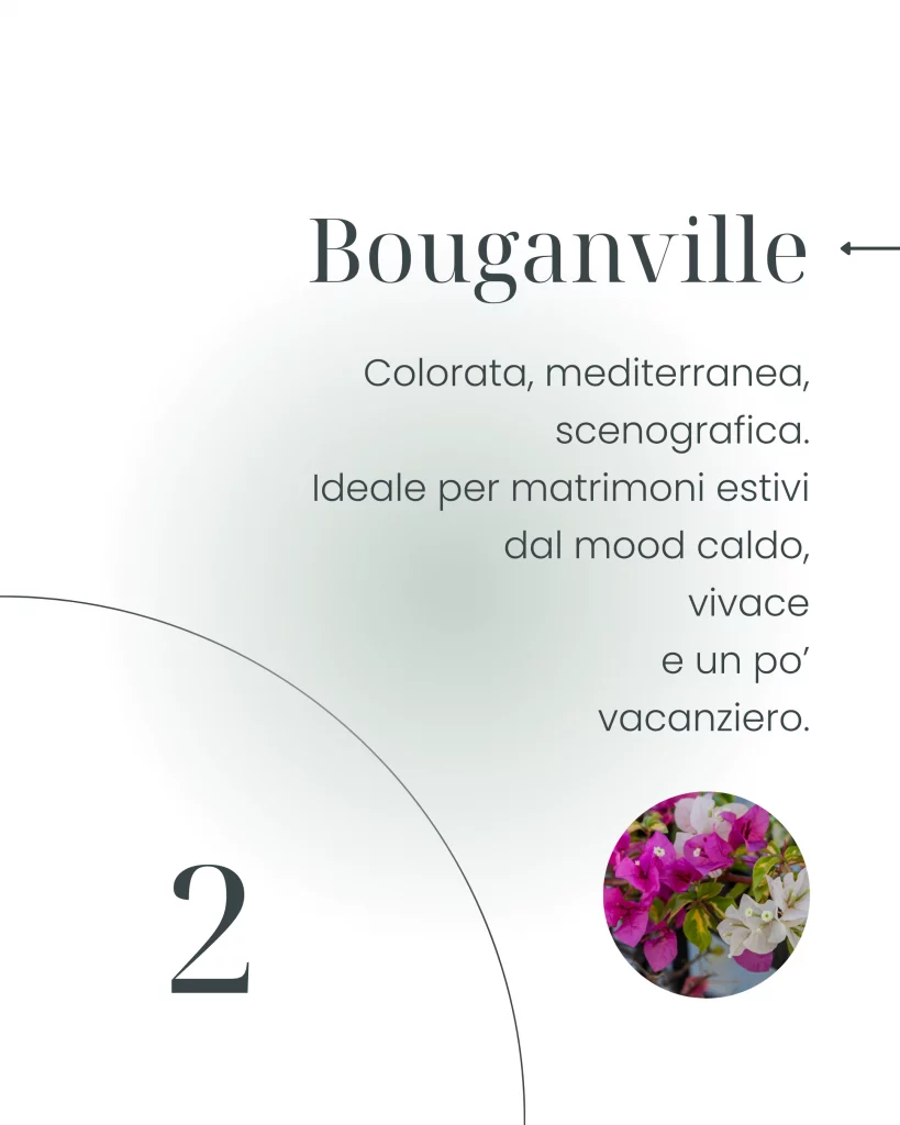 Matrimonio estivo: i migliori fiori per allestimenti e grafica - bouganville - graficaweddding.it