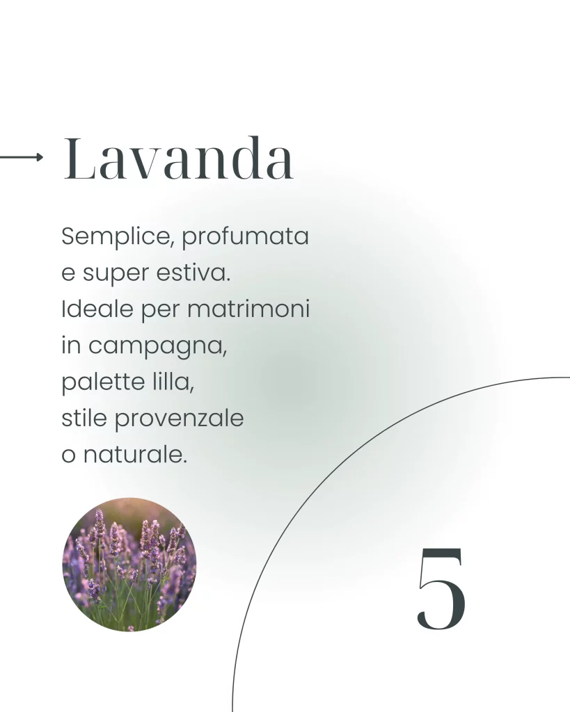 Matrimonio estivo: i migliori fiori per allestimenti e grafica - lavanda - graficaweddding.it